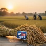 साठा धान की बुआई को लेकर बड़ा असमंजस प्रशासन के आदेश का इंतजार, किसान असमंजस में